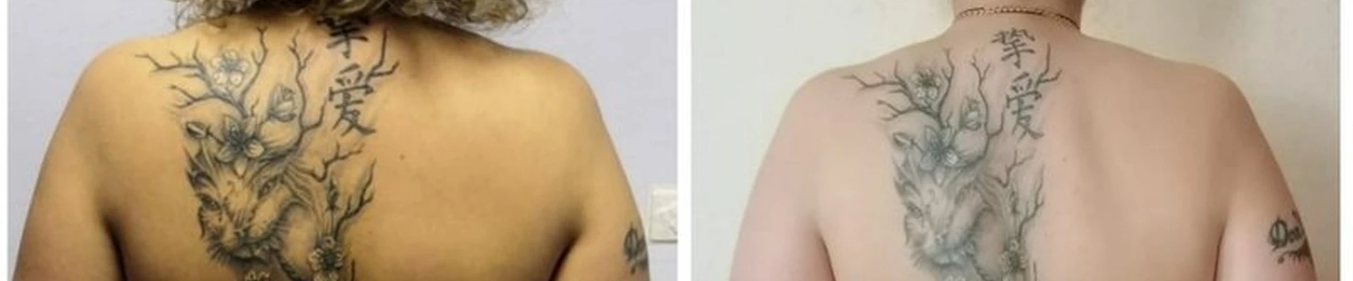 PROтело в Норильске улица Павлова, 3