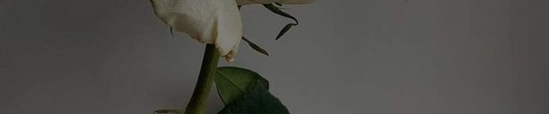 &