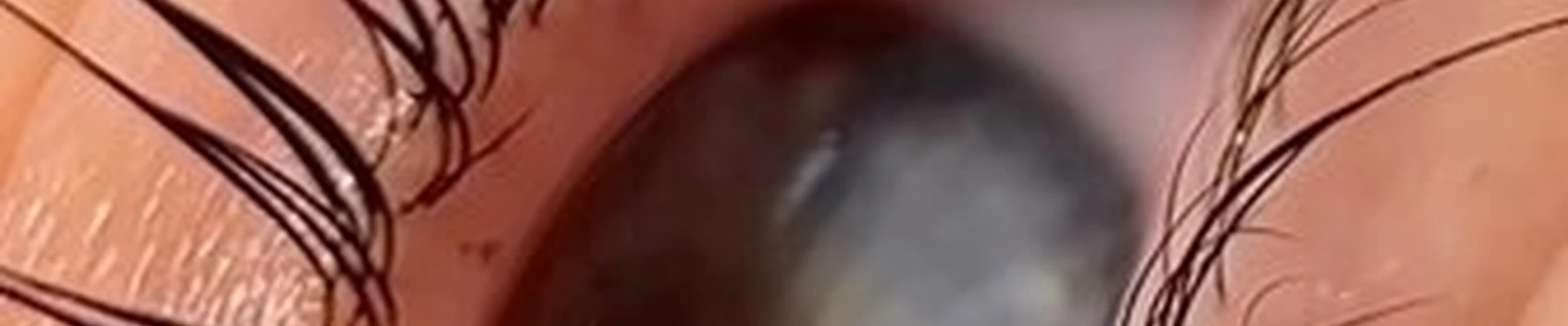 Beautysphera в Воронеже улица Загоровского, 1