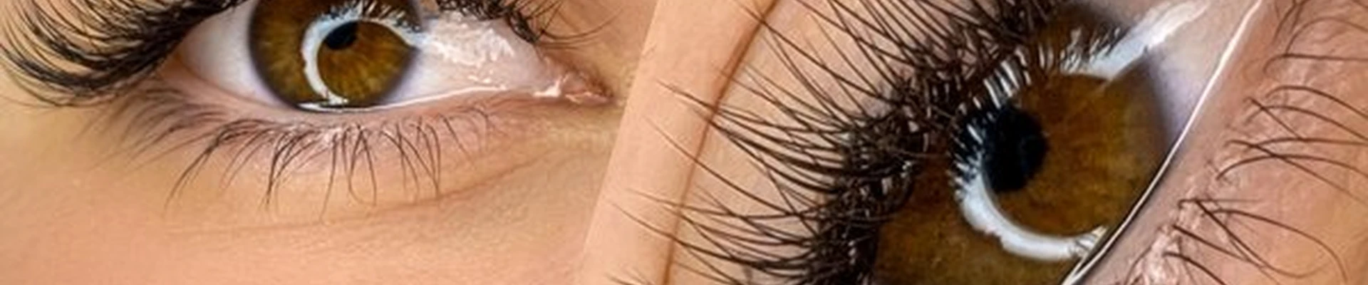 Brows.Lashes