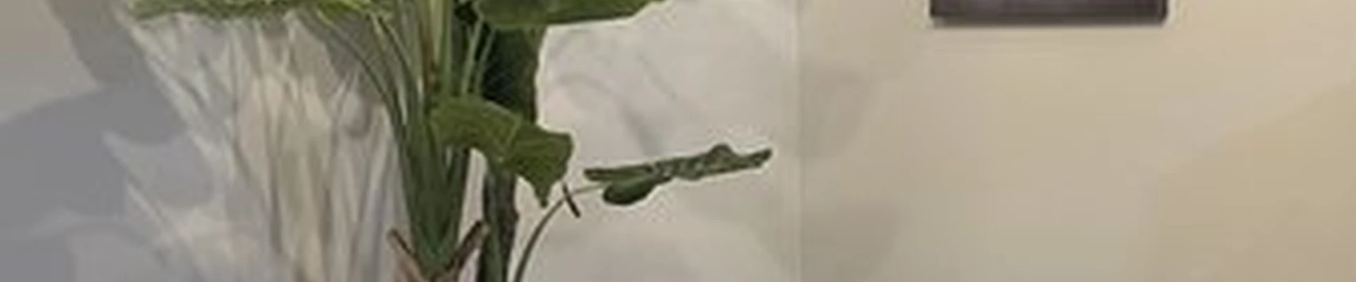 Anox в Краснодаре улица им. Героя Георгия Бочарникова, 14/1