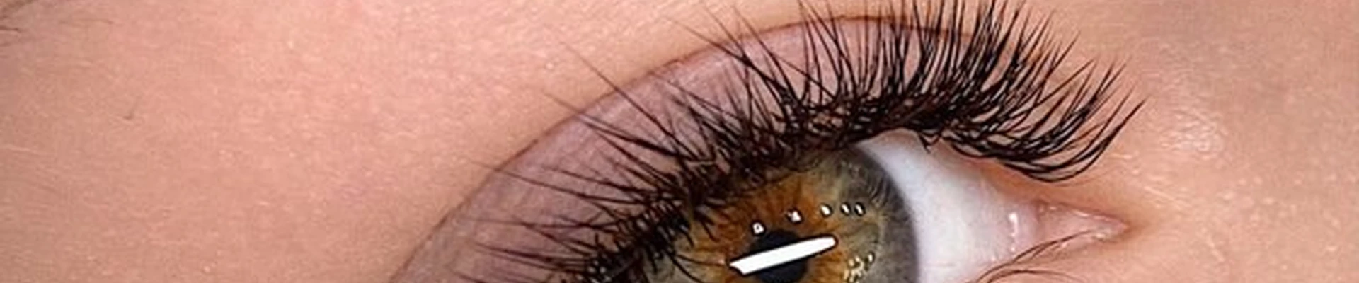 the Lash Room