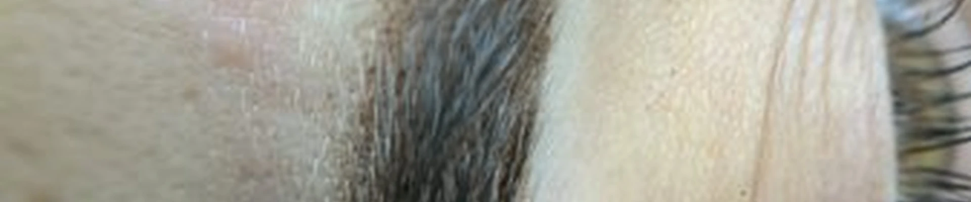 Студия перманентного макияжа и наращивания ресниц