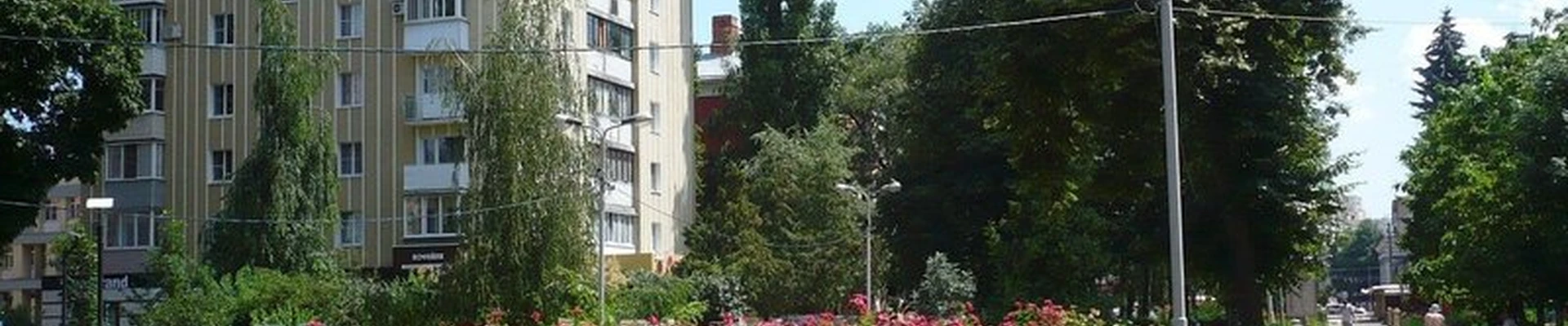 Rewer`s professional в Воронеже улица Карла Маркса, 74