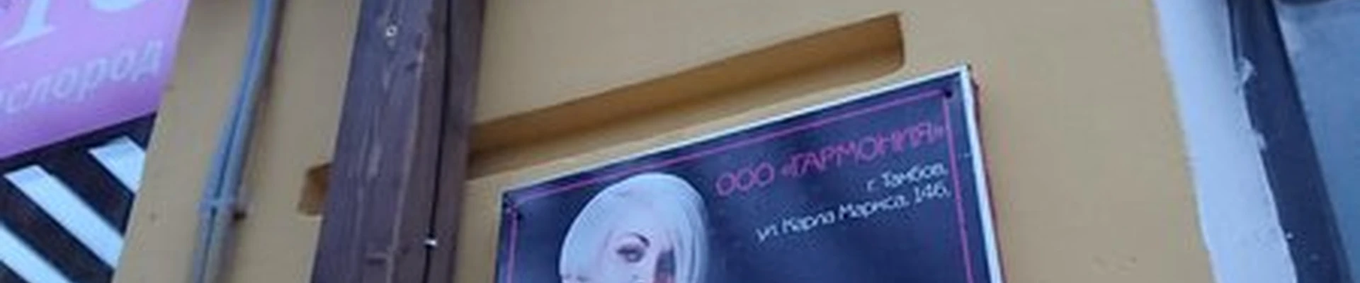 Гармония в Тамбове улица Карла Маркса, 146