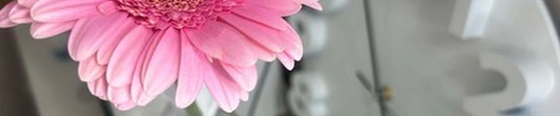 Magic в Вологде улица Герцена, 108