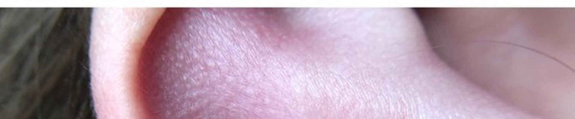 Labret в Жигулёвске Никитинская улица, 15