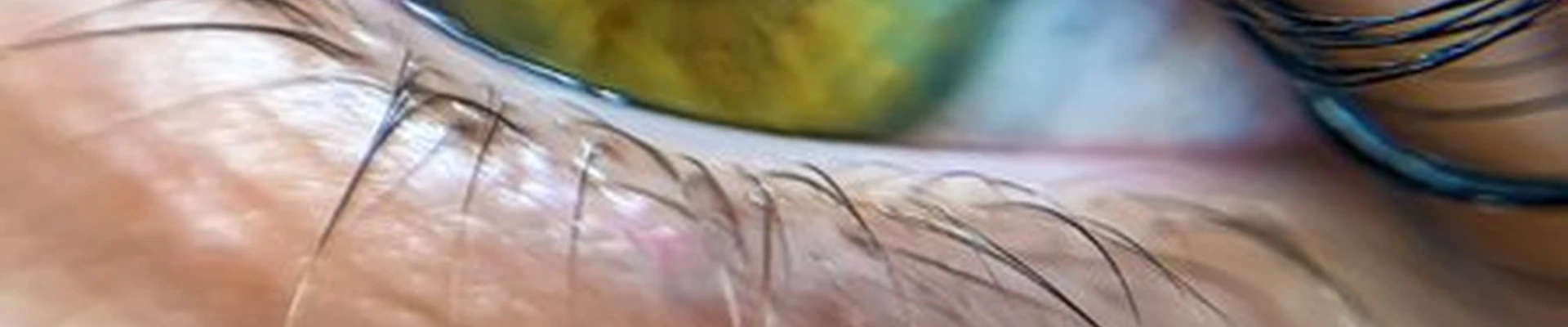 Gold Мастер в Липецке улица Водопьянова, 33