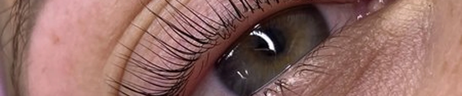 DikunBrows