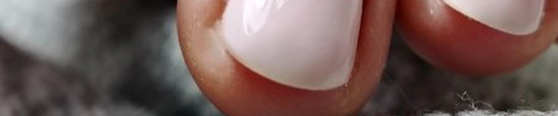 Family в Благовещенске улица Ломоносова, 166