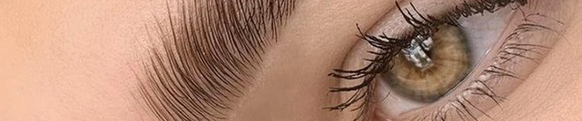 Accent в Санкт-петербурге 1-я Советская улица, 10