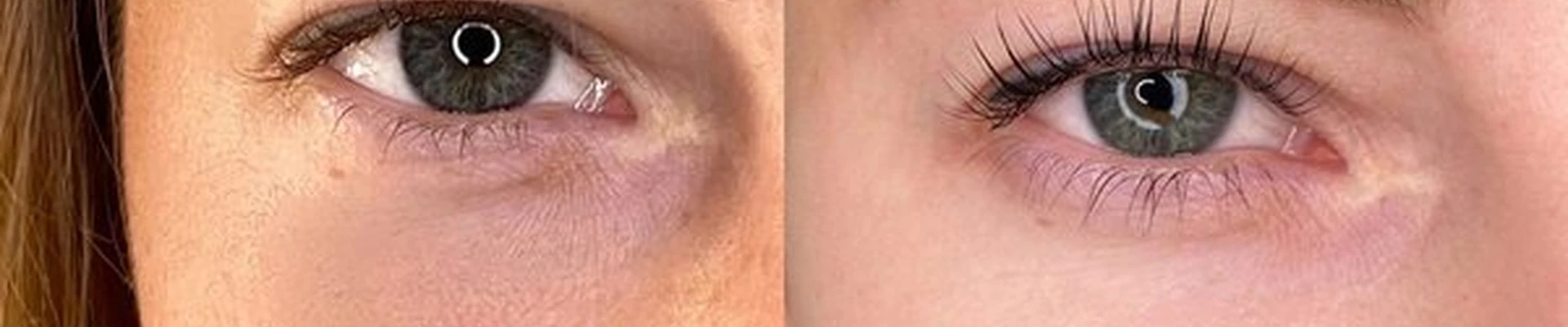 Brovolog в Уссурийске улица Ленина, 122