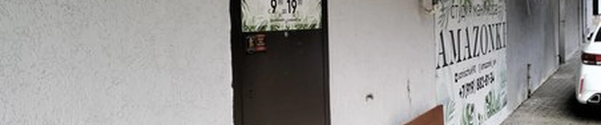 Amazonki