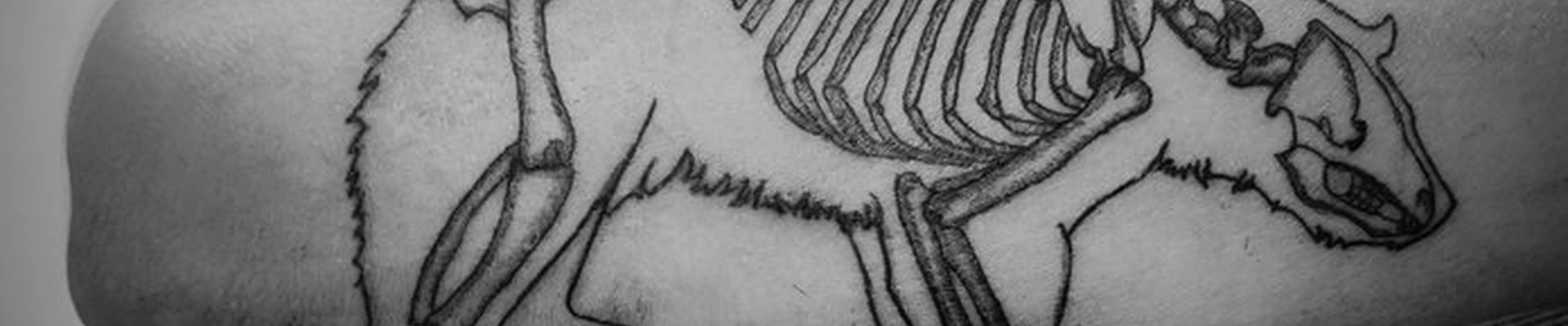 Ip.tattoo