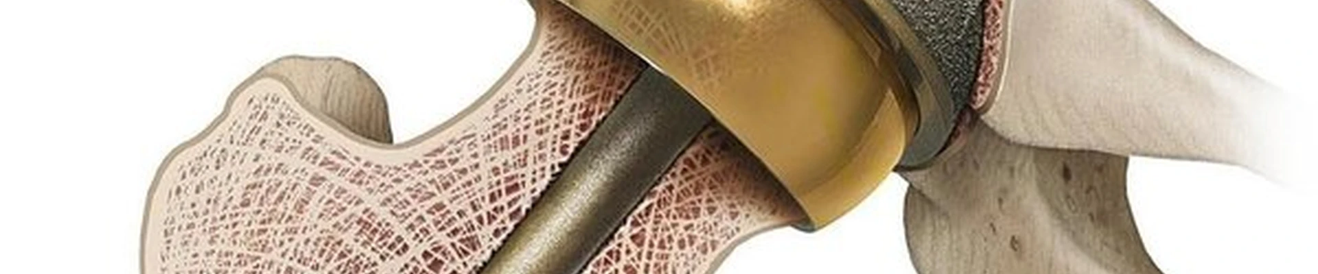 Ариадна в Тюмени улица Николая Зелинского, 24