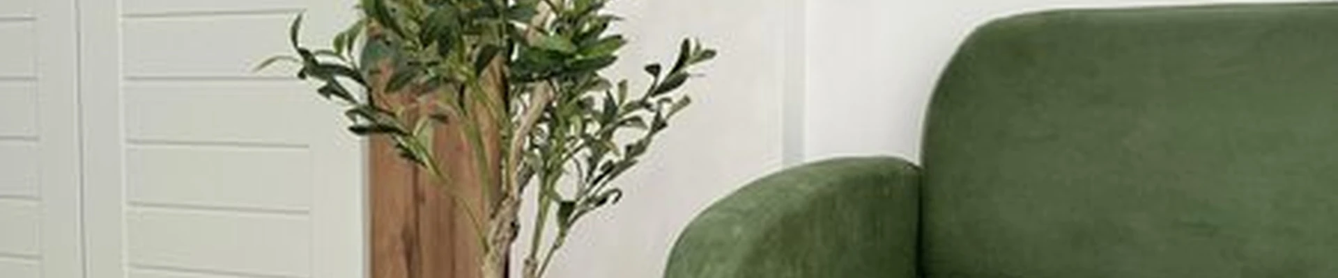 Albina Nizamova studio