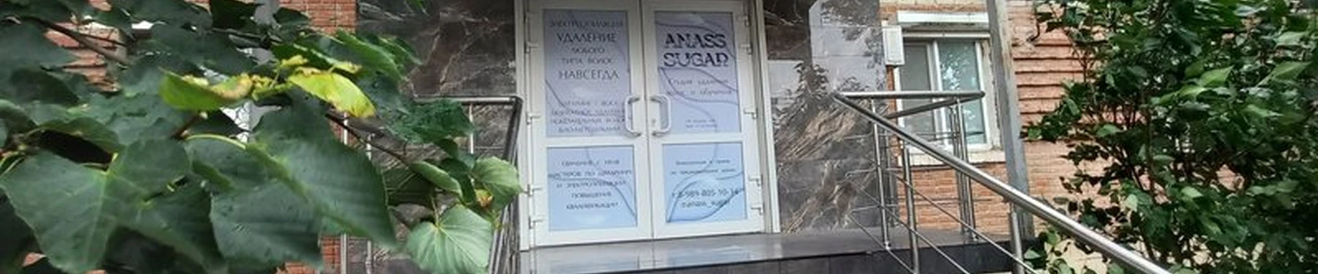 Anass sugar