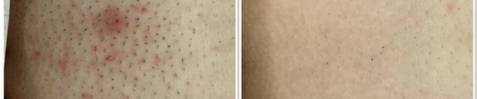 Cactus в Магадане Пролетарская улица, 8