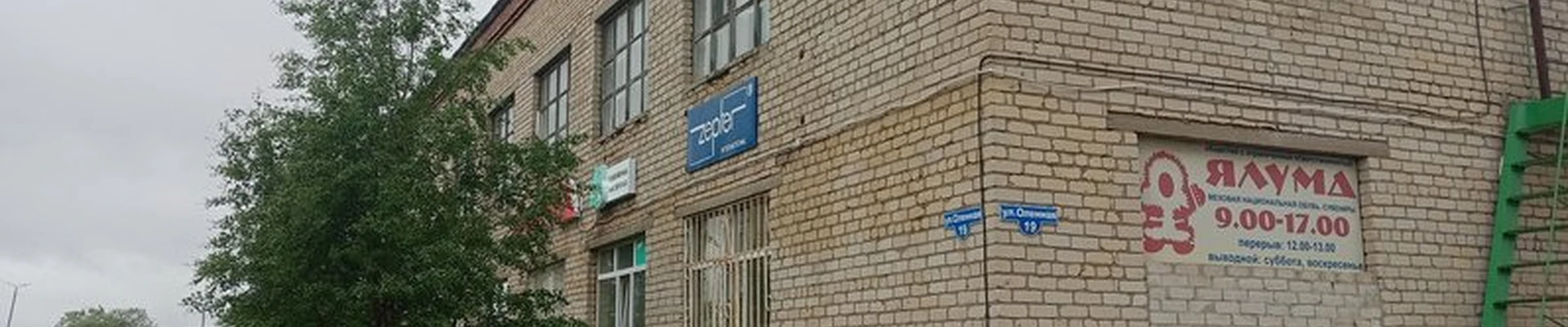 Кактус в Нарьян-маре Оленная улица, 19