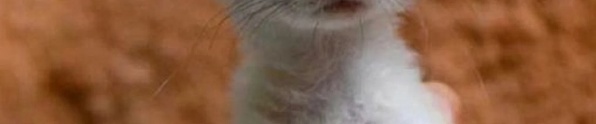 Beauty Studio в Петрозаводске Скандинавский проезд, 12