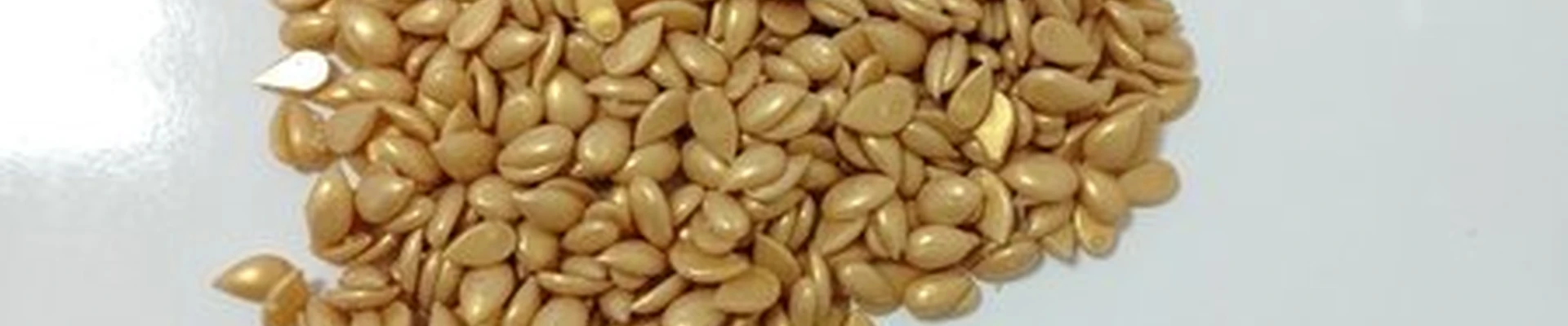 В гармонии с телом