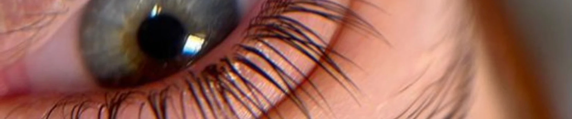 Студия •BREZHNEV• БРОВИ & РЕСНИЦЫ