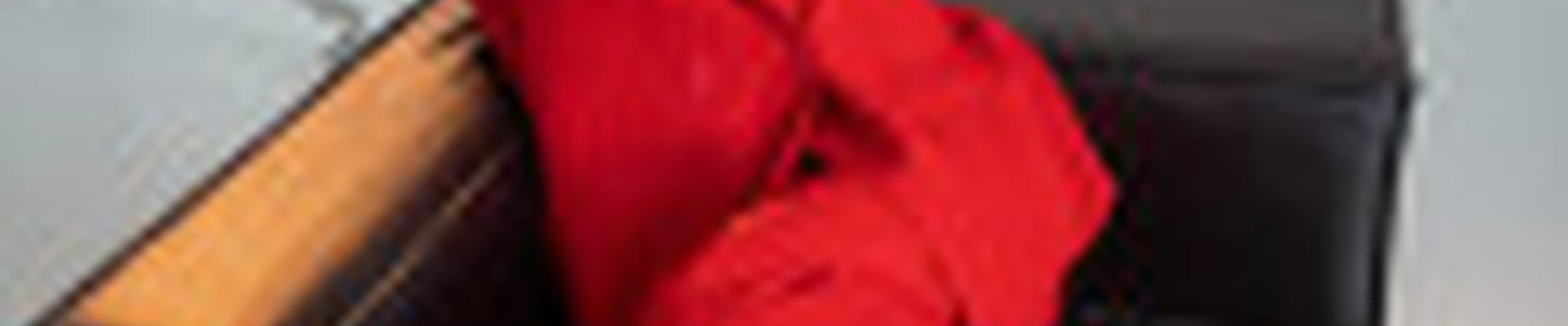 Гуськова Анна