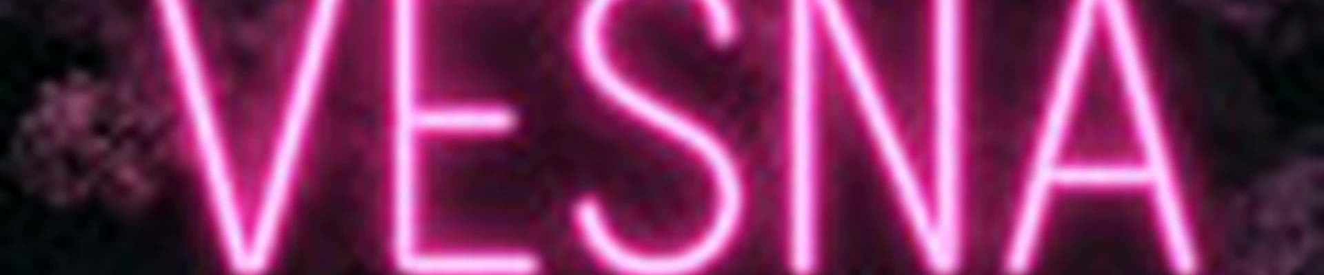 Студия оформления взгляда «VESNA»