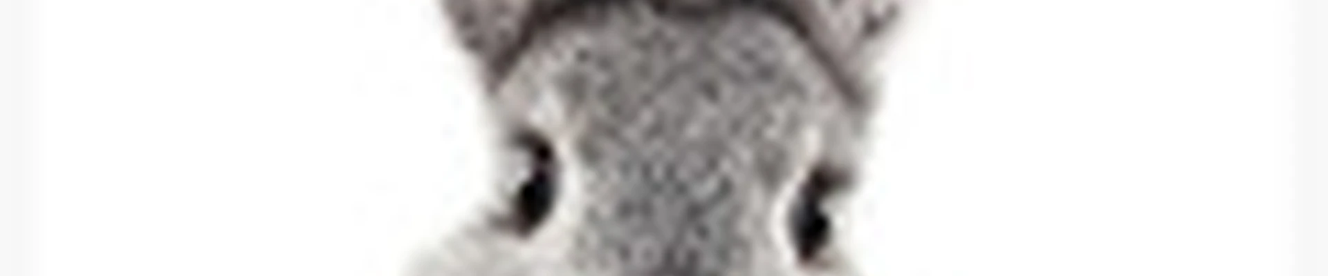 &
