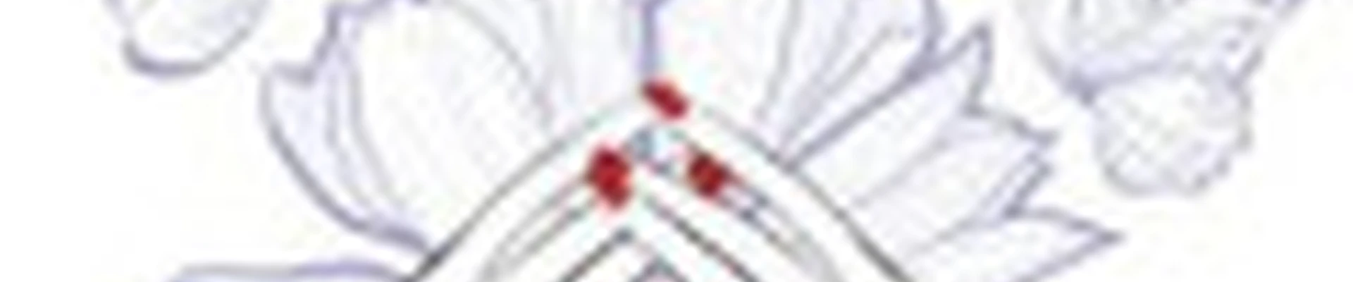 Natali_Nails_ sysert