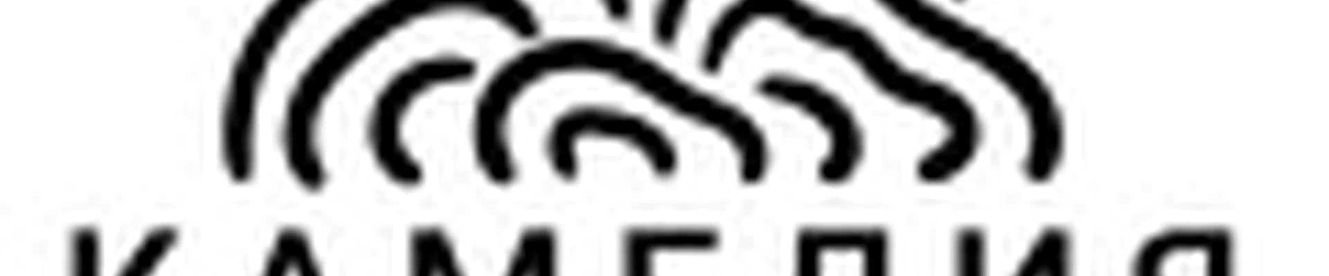 Студия массажа КАМЕЛИЯ