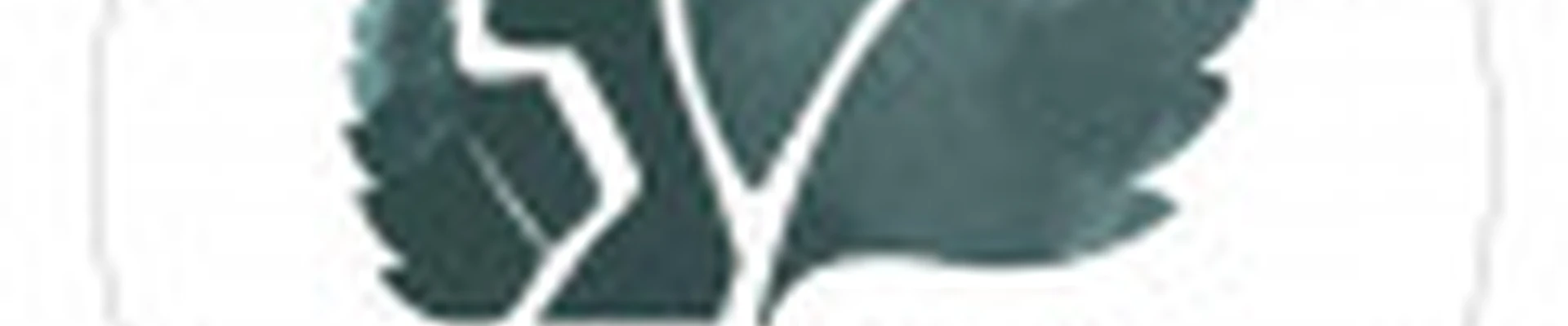 Студия красоты "Сладкая мята"