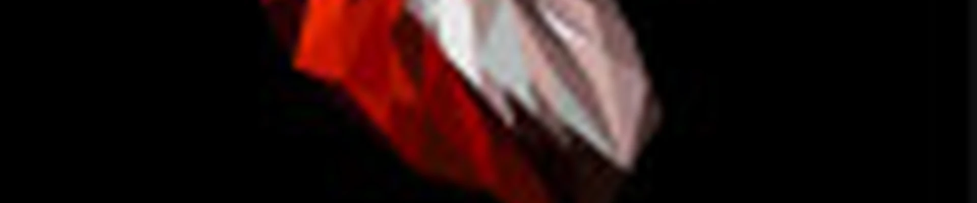 Студия «Лиса»