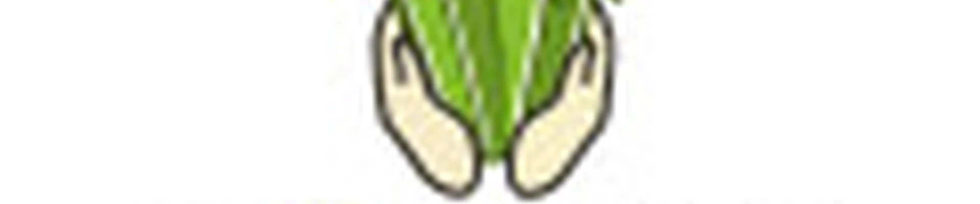 Студия @Kaktus_norilsk