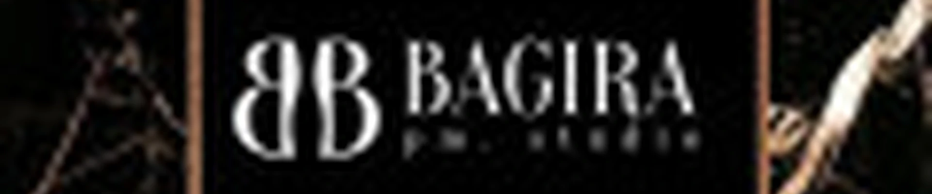 Студия BAGIRA