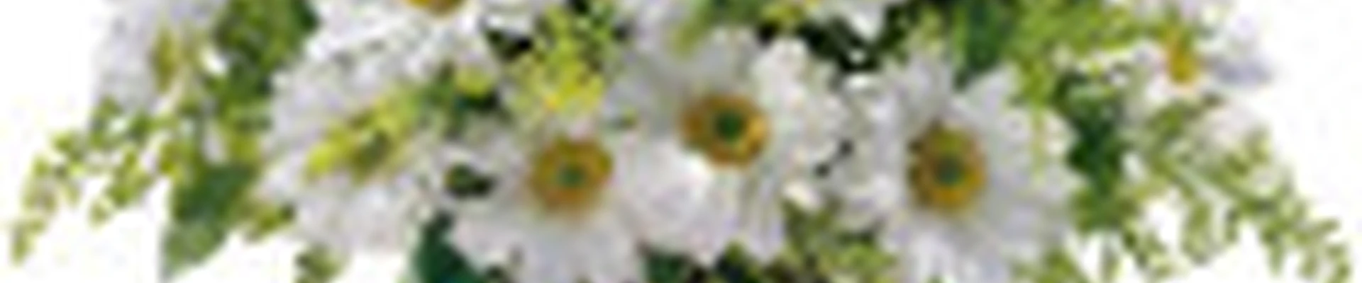 Парикмахерская