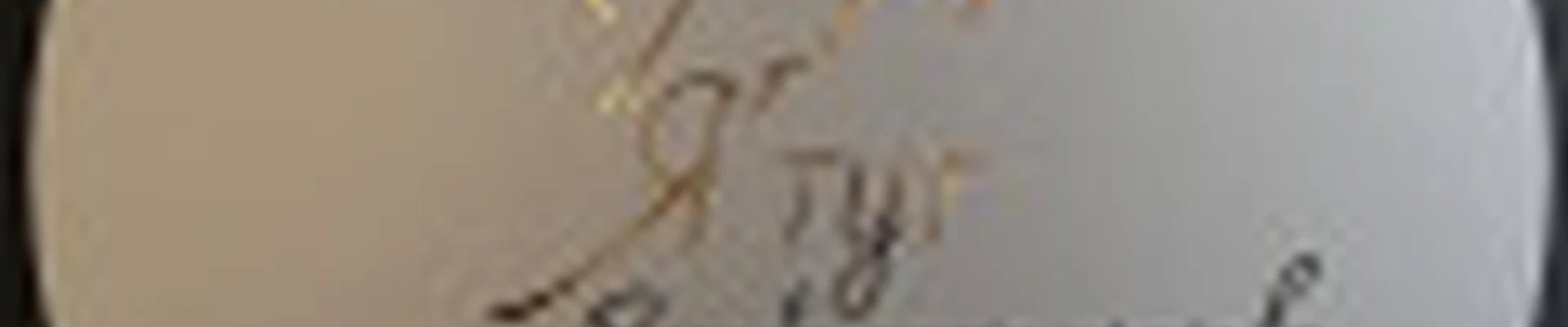 Ольга  Lashmaker