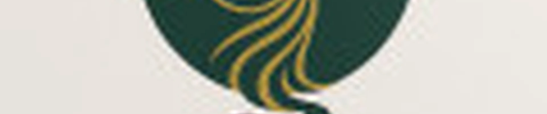 ЖИВОЙ ПАР - семейный СПА салон