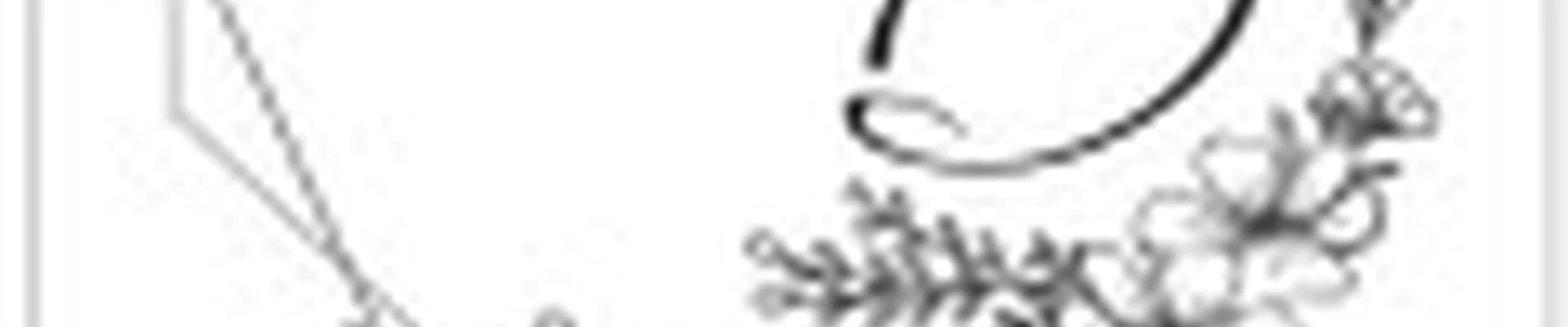 Студия маникюра и педикюра НВ