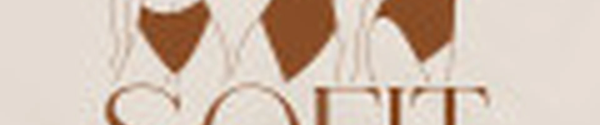 SofiT проезд Мира 13