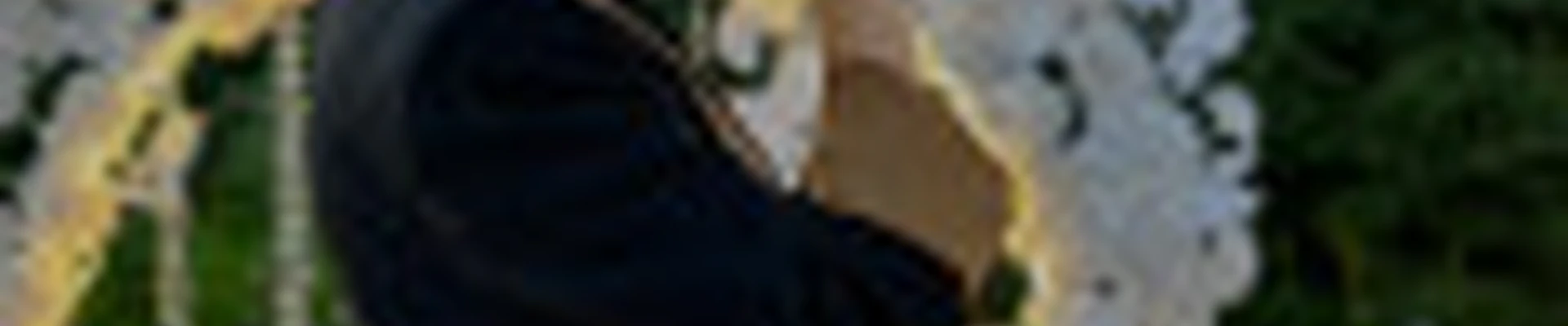 Вероника Михеева