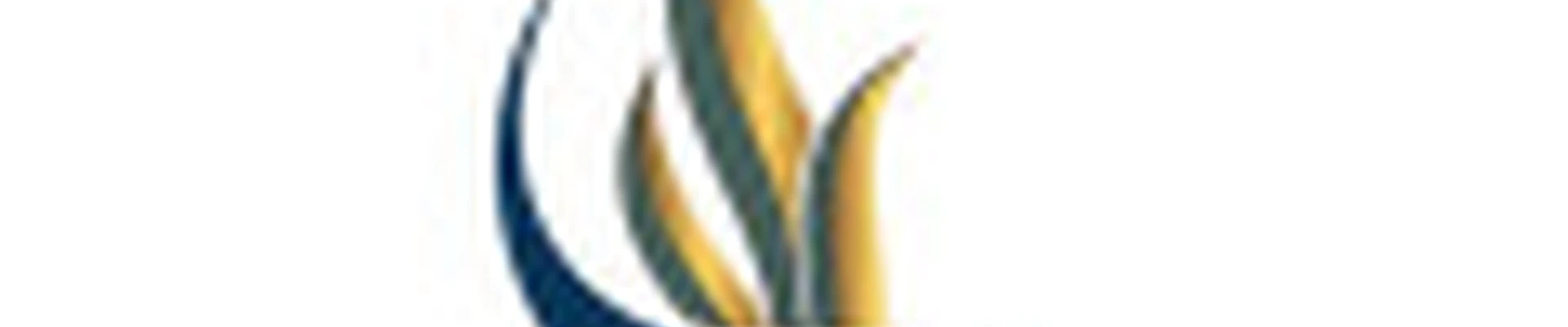 Laminariastudio