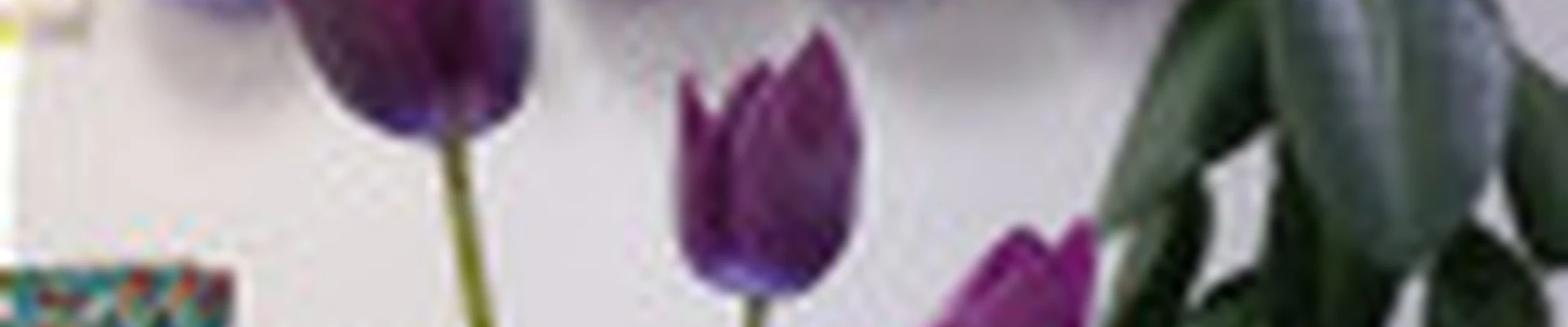 Студия Красоты Crocus