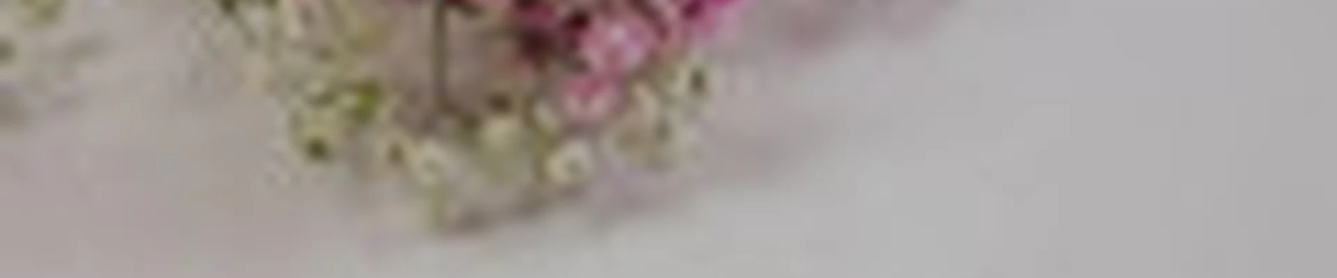 Дом. Красота. Здоровье