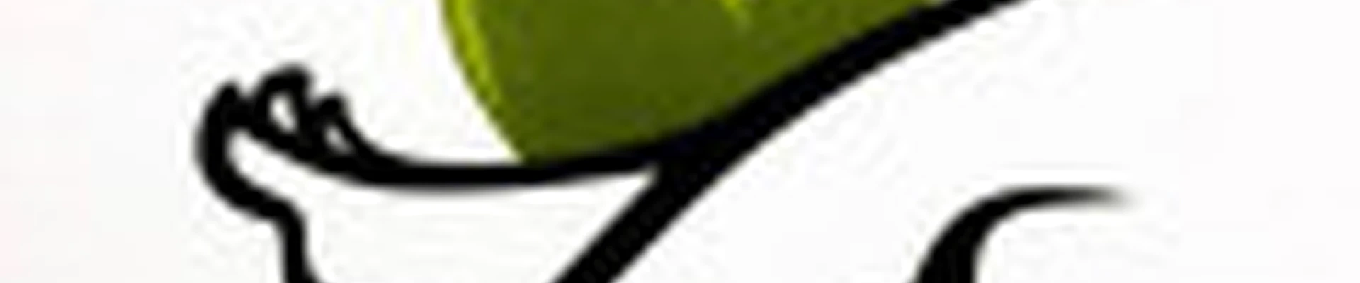 Здоровая Стопа