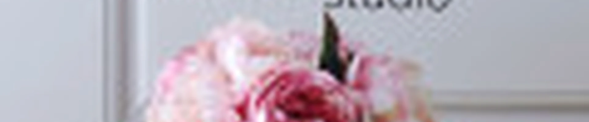 PION studio