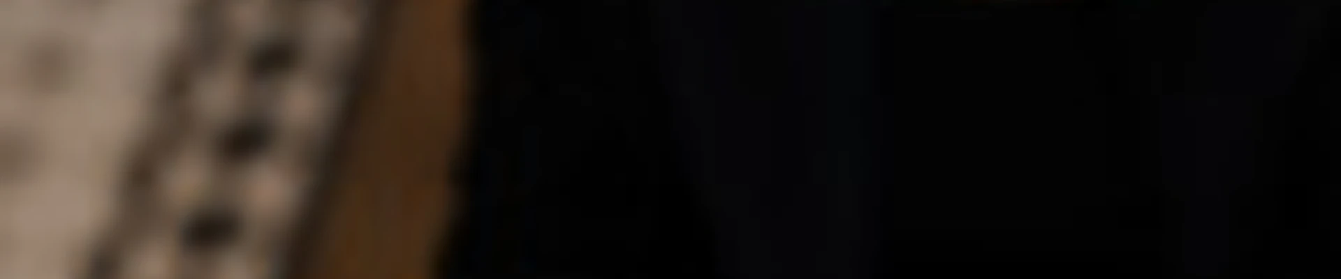 Светлана Лагута