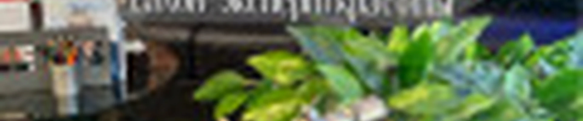 London салон-эксперт красоты