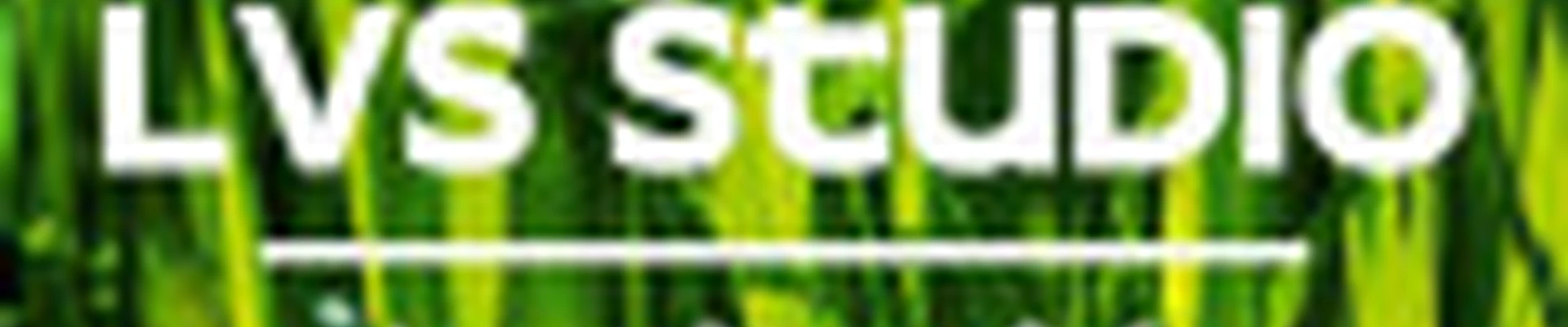 LVS Лучшая версия себя