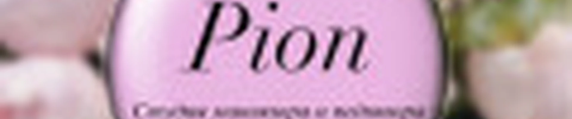 Pion